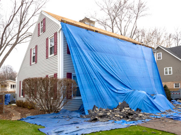 Best Construction Debris Removal  in Elephant Butte, NM
