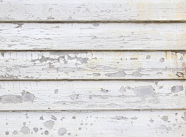 Best Residential Junk Removal  in Elephant Butte, NM
